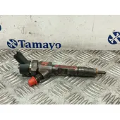 Inyector para Renault Scenic Ii
