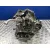 Caja Cambios para Skoda Fabia Ii (542)