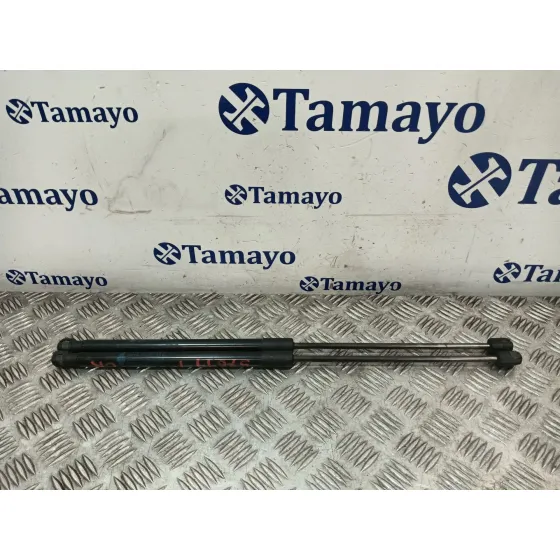 Amortiguadores Maletero / Porton para Bmw Mini (F56)