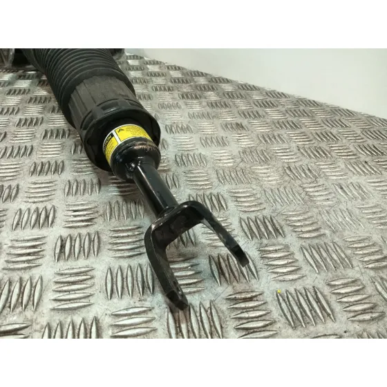Amortiguador Delantero Izquierdo para Audi A8 D3 (4E2, 4E8)