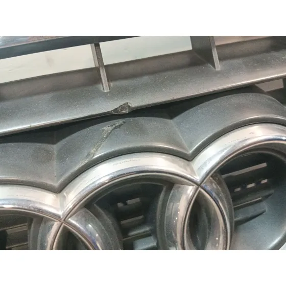 Rejilla Paragolpes Delantero para Audi A8 D3 (4E2, 4E8)