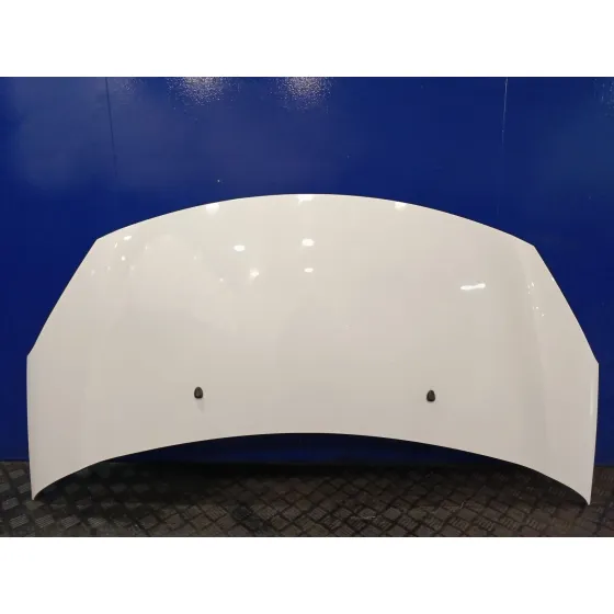 Capot para Citroën C3 Ii (Sc_)