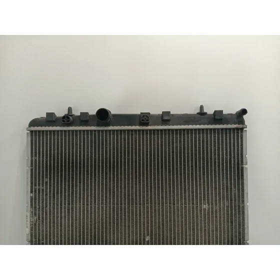 Radiador Agua para Citroën C3 Ii (Sc_)