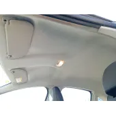 Techo Interior para Citroën C3 Ii (Sc_)