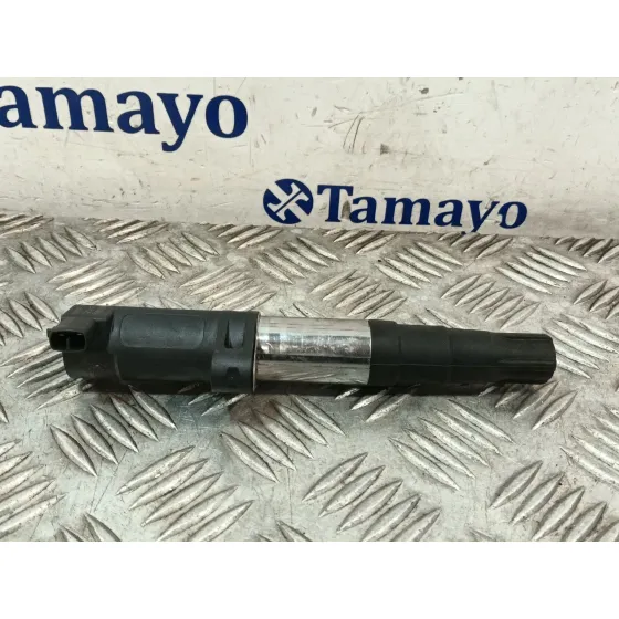 Bobina Encendido para Renault Megane Iii Coupe (Dz0/1_)