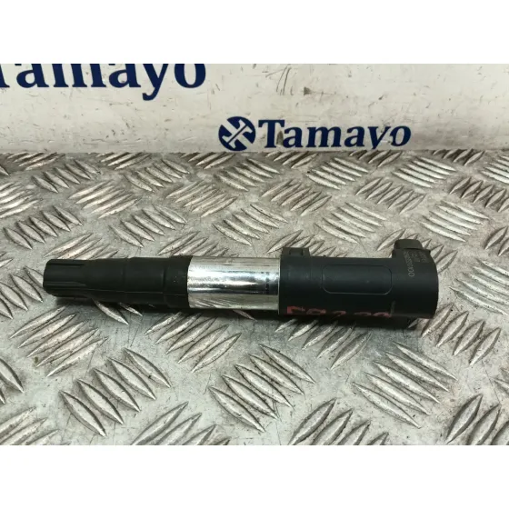 Bobina Encendido para Renault Megane Iii Coupe (Dz0/1_)