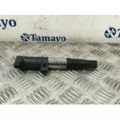 Bobina Encendido para Renault Megane Iii Coupe (Dz0/1_)
