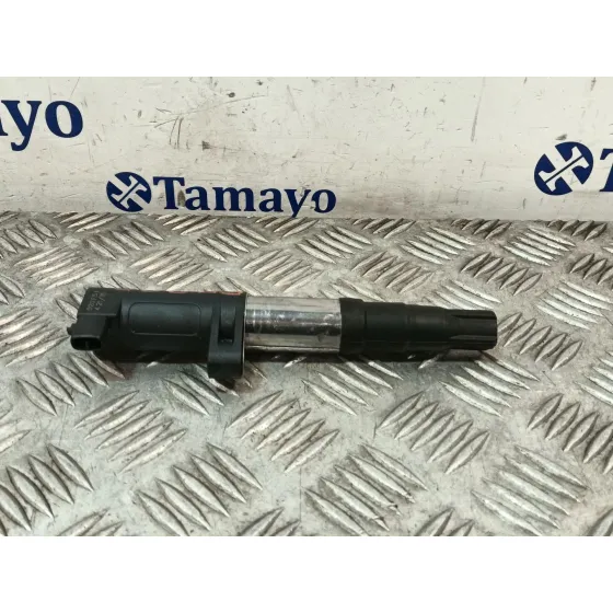 Bobina Encendido para Renault Megane Iii Coupe (Dz0/1_)