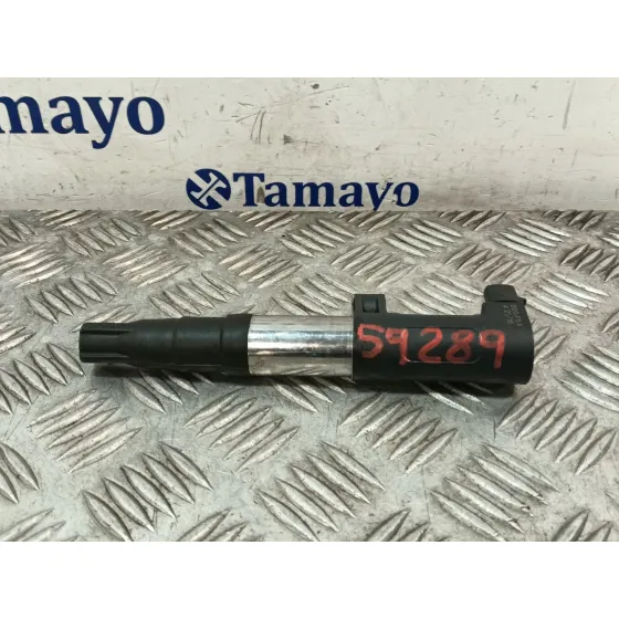 Bobina Encendido para Renault Megane Iii Coupe (Dz0/1_)