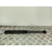 Amortiguadores Maletero / Porton para Citroën C2 (Jm_)
