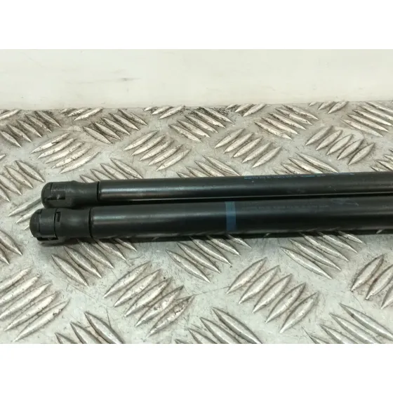 Amortiguadores Maletero / Porton para Citroën C2 (Jm_)