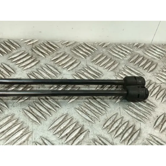Amortiguadores Maletero / Porton para Citroën C2 (Jm_)