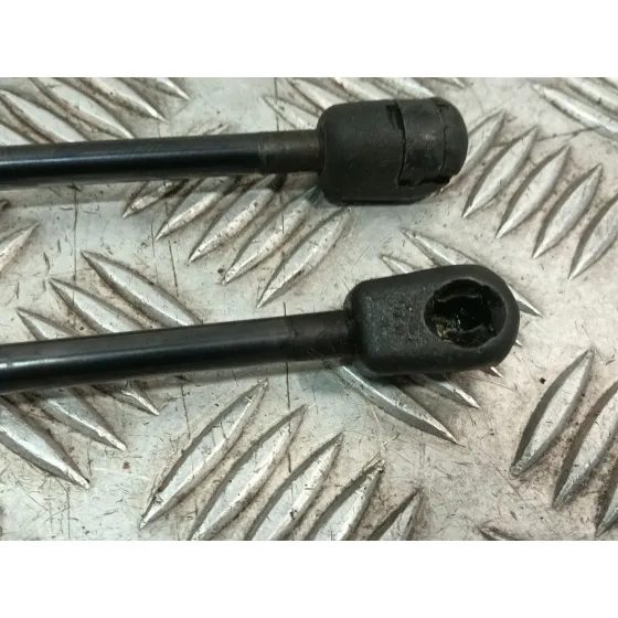 Amortiguadores Maletero / Porton para Citroën C2 (Jm_)