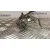Rampa Inyectora para Opel Corsa C (X01)
