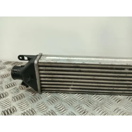 Intercooler para Fiat Doblo Cargo (263_)