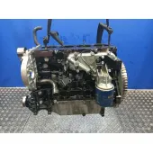 Bloque Armado para Kia Carnival