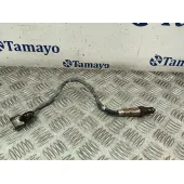 Sonda Evaporador para Renault Clio Iii (Br0/1, Cr0/1)