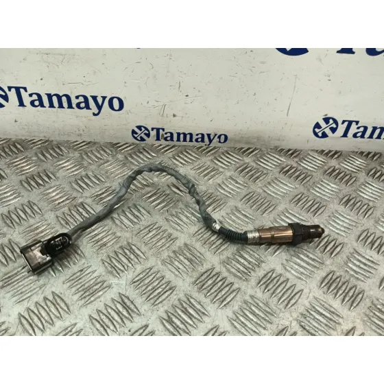 Sonda Evaporador para Renault Clio Iii (Br0/1, Cr0/1)