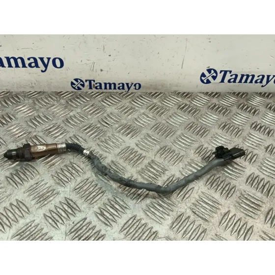 Sonda Evaporador para Renault Clio Iii (Br0/1, Cr0/1)