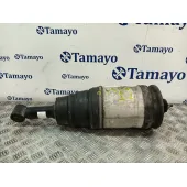 Amortiguador Trasero Izquierdo para Land Rover Discovery Iv (L319)
