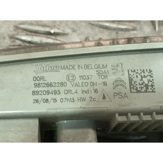 Piloto Delantero Derecho para Citroën C3 Ii (Sc_)