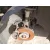 Mangueta Delantera Izquierda para Peugeot 207 Cc (Wd_)