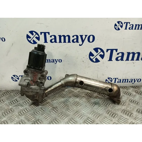 Enfriador Egr para Kia Carnival