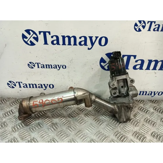 Enfriador Egr para Kia Carnival