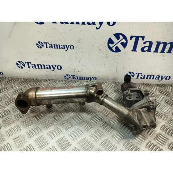 Enfriador Egr para Kia Carnival