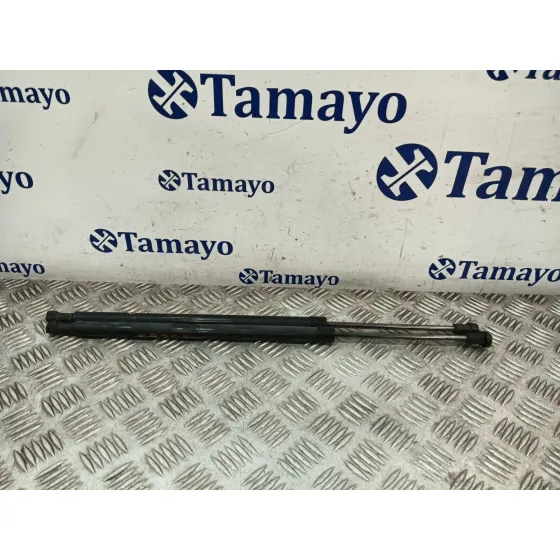 Amortiguadores Maletero / Porton para Mazda Cx-3 (Dk)