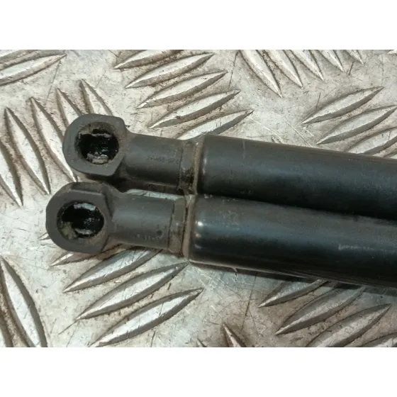 Amortiguadores Maletero / Porton para Mazda Cx-3 (Dk)