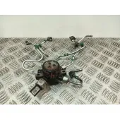 Rampa Inyectora para Renault Kangoo / Grand Kangoo Ii (Kw0/1_)