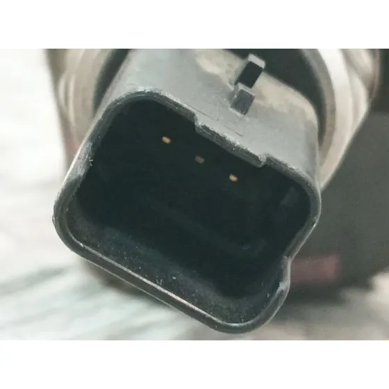 Rampa Inyectora para Renault Kangoo / Grand Kangoo Ii (Kw0/1_)