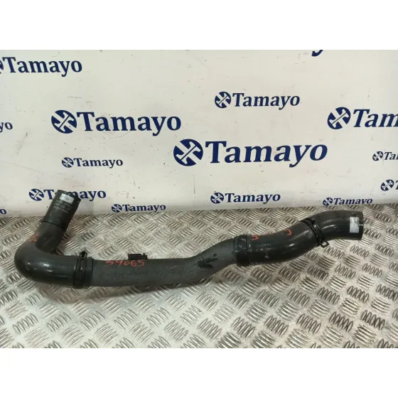 Tubo para Kia Carnival
