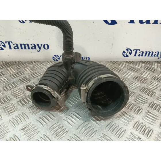 Tubo para Audi A6 Berlina (4F2)