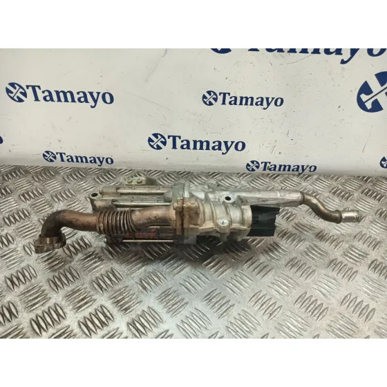 Valvula Egr para Land Rover Discovery Iv (L319)