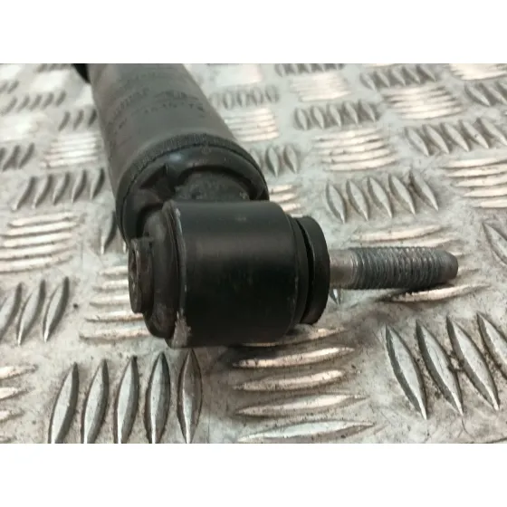Amortiguador Trasero Derecho para Renault Scenic Iv (J9_)