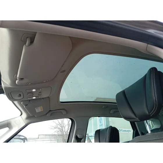 Techo Interior para Renault Scenic Iv (J9_)