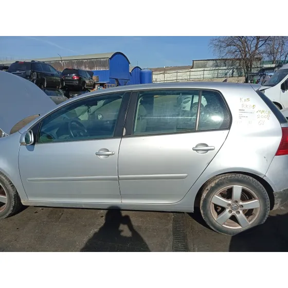 Puerta Trasera Izquierda para Volkswagen Golf V (1K1)
