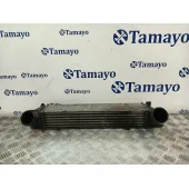 Intercooler para Bmw Serie 3 Berlina (E90)