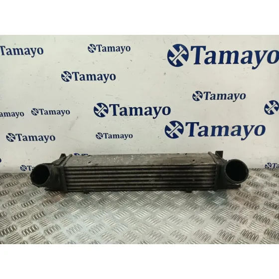 Intercooler para Bmw Serie 3 Berlina (E90)