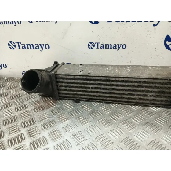 Intercooler para Bmw Serie 3 Berlina (E90)