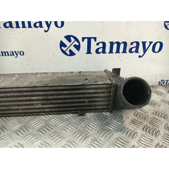 Intercooler para Bmw Serie 3 Berlina (E90)