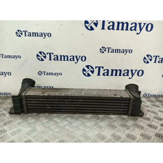 Intercooler para Bmw Serie 3 Berlina (E90)