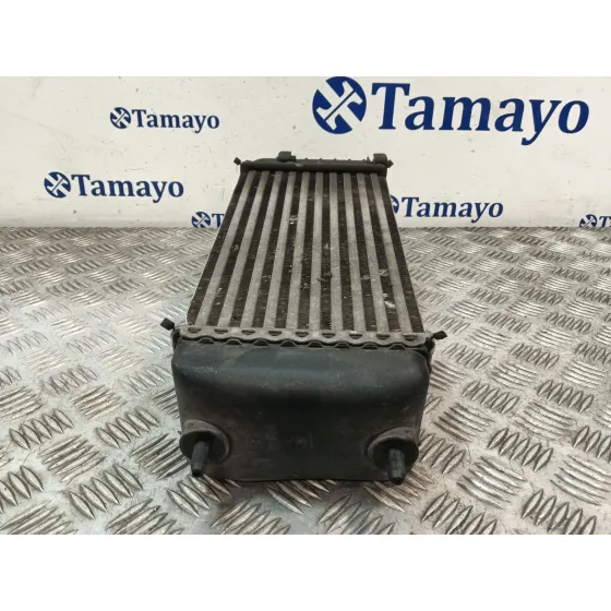 Intercooler para Peugeot 206 Cc