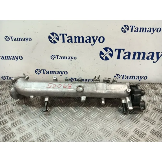 Colector Admision para Kia Carnival
