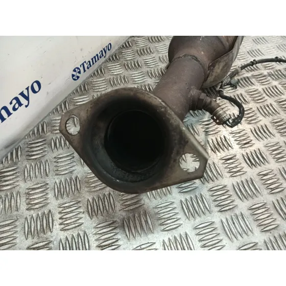 Catalizador para Toyota C-Hr (_X1_)