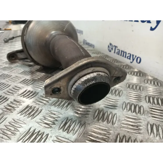 Catalizador para Toyota C-Hr (_X1_)