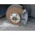 Pinza Freno Delantera Derecha para Volkswagen Eos (1F7, 1F8)