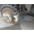 Pinza Freno Trasera Derecha para Volkswagen Eos (1F7, 1F8)